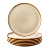 LERATIO Ceramic Dinner Plates Set of 6, 10.5 Inch Reactive