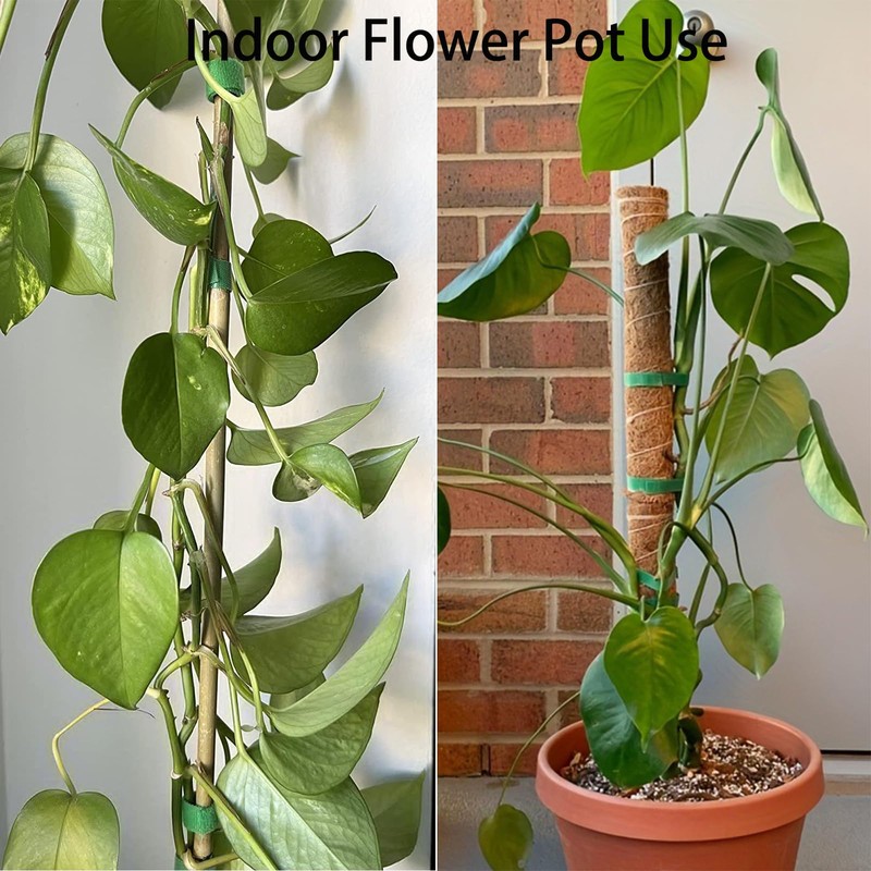 Plant Tape for Supporting Plants - 1/2" x 66ft Reusable