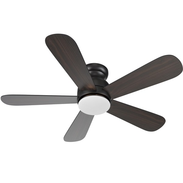 Carro Black Smart Low Profile Ceiling Fan with Lights, DC