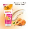 Queen Helene Facial Scrub, Apricot, 6 Ounce (Pack of 6)