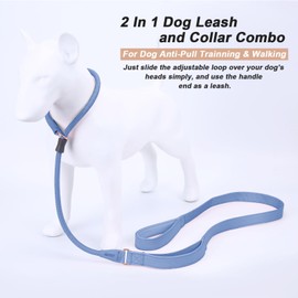 Slip Lead Dog Leash, Dog Training Leash with Double Handle, Soft Leather Nylon Slip Leash and Collar, Heavy Duty Rope Dog Lead, No Pull Walking Leash for Small Medium Large Puppy Dogs 5ft Blue Purple
