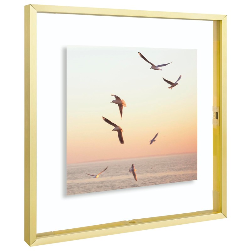 Frametory, 12x12 Floating Picture Frame - Metal Photo Frame -