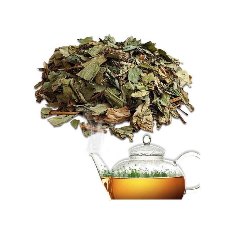 헬로우그린 국내산 삼백초 100gX2(팩) 총 200g Hello Green Domestic Sambaekcho