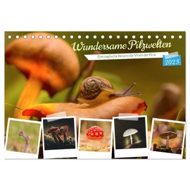Wundersame Pilzwelten (Desk Calendar 2025 DIN A5 Landscape), CALVENDO Monthly Calendar