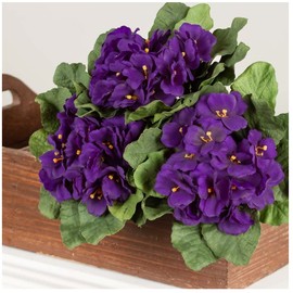 Factory Direct Craft Purple African Violet Artificial Silk Flower Bushes - Pack of 3 Individual Artificial Polysilk Violet Flowers