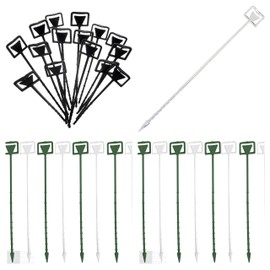 Cardette Card Holders Price Displays 23cm Rigid Plastic Green or Clear (Green x 20)