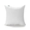 Acanva Indoor Decorative Throw Pillow Insert, Premium Fluffy and Soft