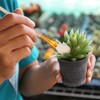 Angoily Chalk Pollination Tool Set, 8Pcs Garden Tool Set for