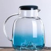 Skystal, Heat and Cold Resistant Glass Pitcher with Lid, Handle