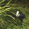 Patriot Lighting Black Flood Landscape Light Multi White LED Aluminum