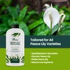 32oz Peace Lily Plant Indoor Live Fertilizer - Makes 192