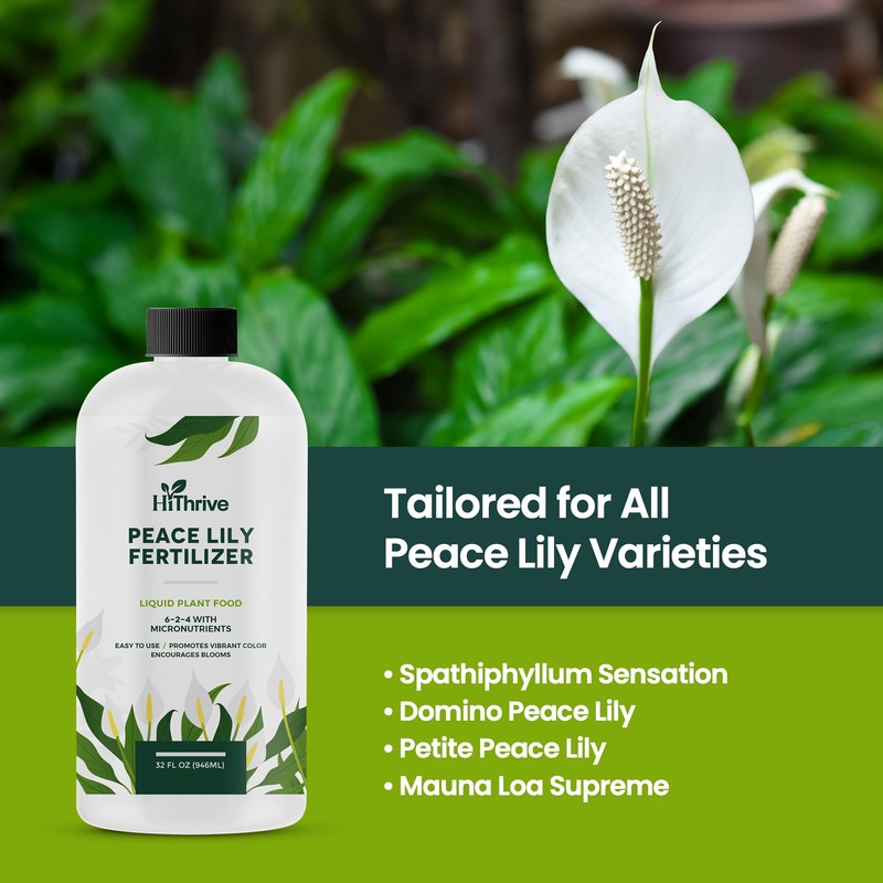 32oz Peace Lily Plant Indoor Live Fertilizer - Makes 192