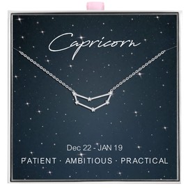 ALoveSoul 925 Sterling Silver Constellation Horoscope Zodiac Capricorn Necklace, Gift for Women Girls