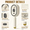 Electric Spray Air Cushion Massage Comb, Hair Brush with Water