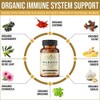 Warrior - Organic Immune System Support - Made with Nature's