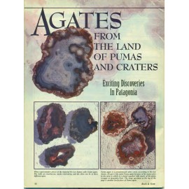 Puma agate rough nodules 4 pounds