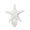 U.S. Shell, Inc. 05149 Seashell Night Light Set of 2