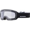 ALPINA NAKISKA OTG Dclear Ski Goggles, Anti-Fog, Extremely Robust &