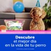 Bolsas para Congelar Ziploc con Cierre Fácil, Pack de 15