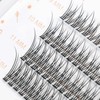 LASHIDOL Partial False Eyelashes, Matsueku Self False Eyelashes, Natural, Popular,
