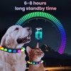 BDGFG Light-up Dog Collar with LED Light, Waterproof, Rechargeable, Remote