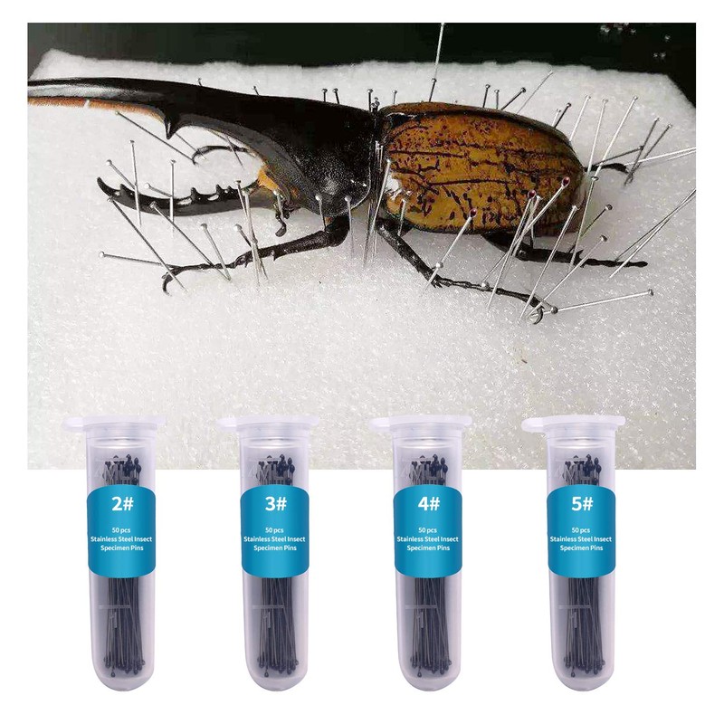 Fpxnb 350 Pcs Stainless Steel Insect Pins in 7 Sizes,