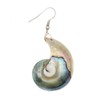 Swimmi Natural Open Nautilus Shell Earrings, Dangle Drop 925 Sterling