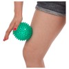 Sport-Tec Reflex Ball Massage Ball Hedgehog Ball Reflex Zones Massage