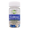 Colina Bitartrato Capsulas Greenlicious Sabor