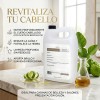 Shampo Anticaída Crecimiento Bergamota Granel