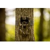 Stealth Cam Prowler Trail Camera- 16MP - 2 Pack