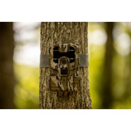 Stealth Cam Prowler Trail Camera- 16MP - 2 Pack