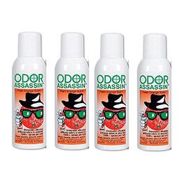 Odor Assassin Orange, Set of 4