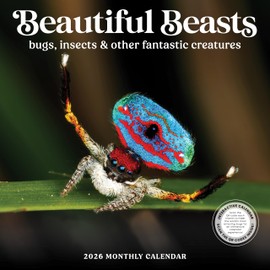 Bug Calendar 2026 | 12 Month, 12” x 24 | Beautiful Beasts: Bugs, Insects, and Other Fantastic Creatures | Spiders, Butterfly, Dragonflies, Beetles | Backyard Entemologist | Kid and Science, Classroom | Marble City Press: 2026-2027 Plastic Free Calendar, 