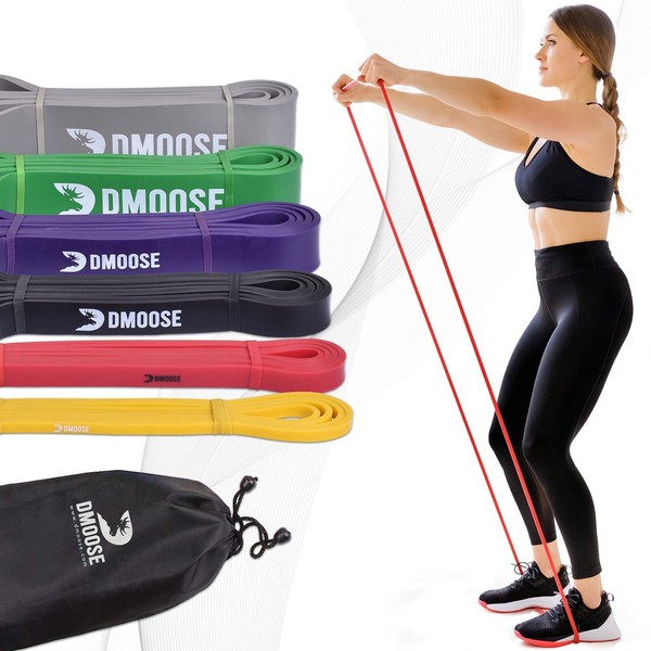DMoose Fitness Pull up Assistance Bands, Stretch Resistance Band for Powerlifting, Strength Training, Stretching, Mobility, Physical Therapy, Resistance Training, Home Workouts (4 in 1 - RBBG)