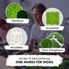 GJS Moss Picture - Moss Mat/Moss Sheet (25 x 25