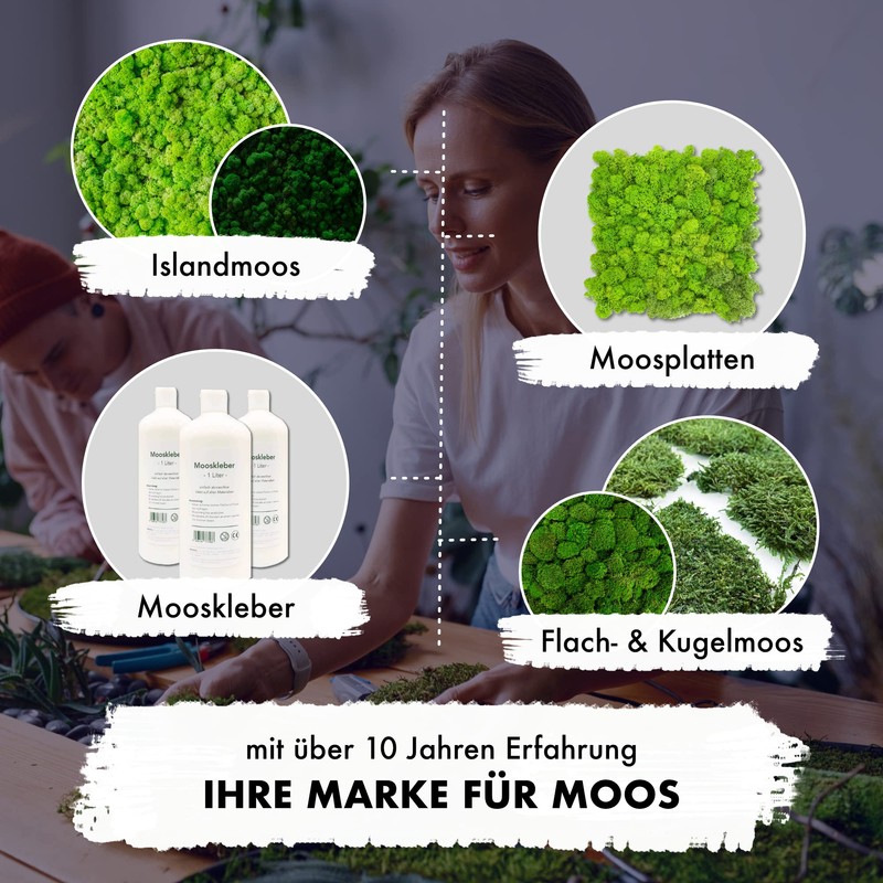 GJS Moss Picture - Moss Mat/Moss Sheet (25 x 25