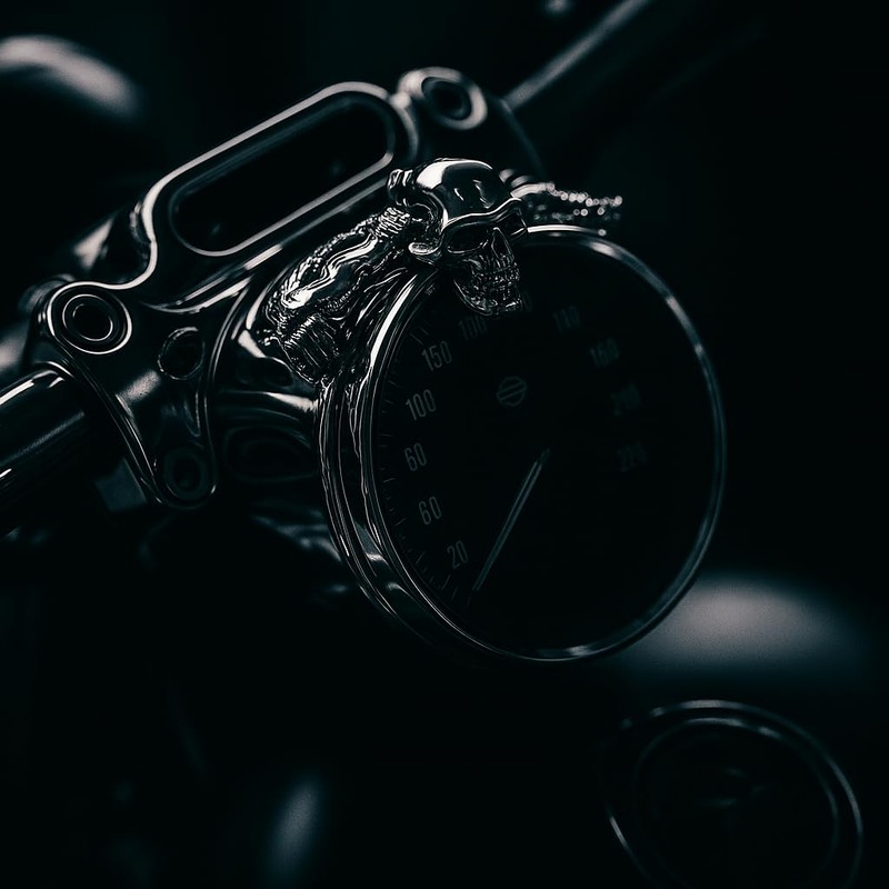 Eagle Lights SKULLRIDER Headlight and Fender Skull Figurehead for HD