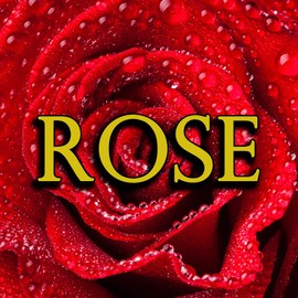 1 oz. Oil Based Scent Refill for Scent Distribution Cups (1 oz. Rose)