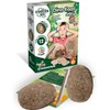 Science4you - Starter Kit di Uova di Dinosauro - Kit