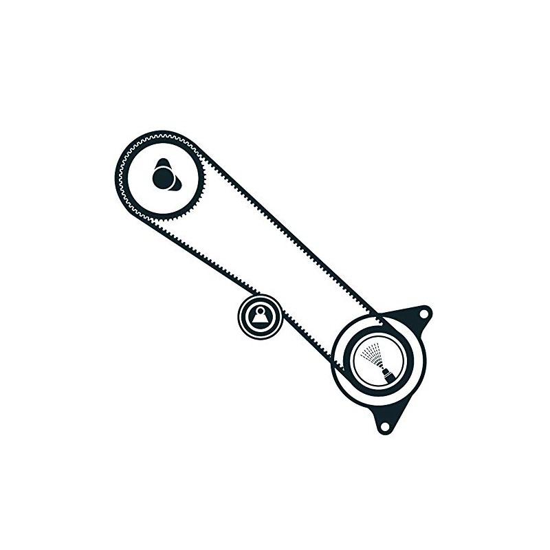 SKF VKMA 91920 Timing belt and component kit