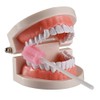 100PCS Disposable Mouth Swabs Sponge - Unflavored, Sterile Oral Swabs