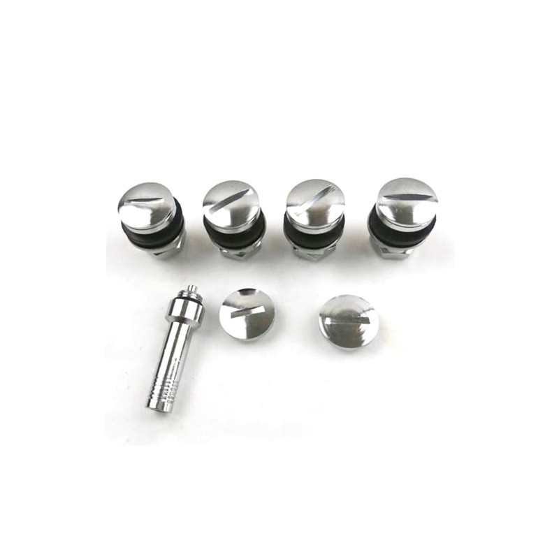 Dodimu Flush Mount Valve Stems (Set of 4)