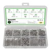 520PCS M2 Screw Assortment Kit, M2x4/6/8/10/16/20/25 mm M2 Screw Kits,