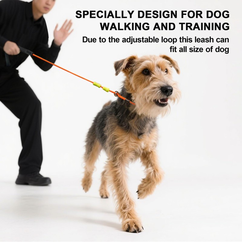 BeauGo| Slip Leads for Dogs | Dog Training Leash |