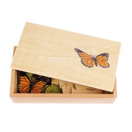 TimeTEX - Life cycle of a butterfly | In wooden box "Montessori Premium" | To illustrate the development process of a butterfly | Dimensions of the wooden box: 23.1 x 12.1 x 5.6 cm