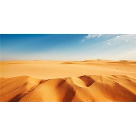 MIRRORANG 120x50cm Terrarium Background Blue Sky Orange Sand Desert Reptile Habitat Background Durable Vinyl Background