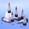 FeiCuiYun Champagne Metallic Lipstick & Lip Liner Combo For Women