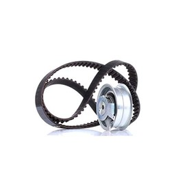 INA 530 0171 10 Timing Belt Set