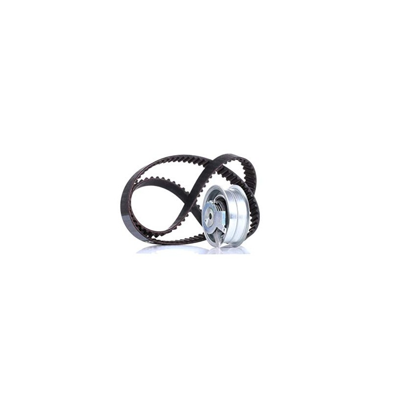 INA 530 0171 10 Timing Belt Set